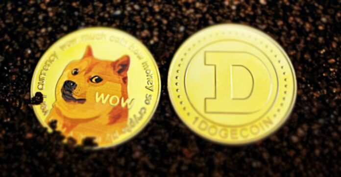 DOGECOIN (DOGE)